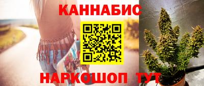 сатива Севастополь